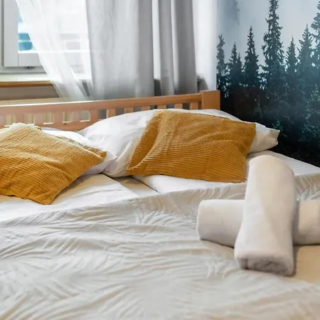 Apartment Rema W Centrum Apartzakop Zakopane