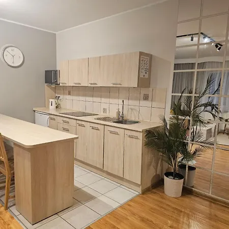 Apartment Rema W Centrum Apartzakop Zakopane