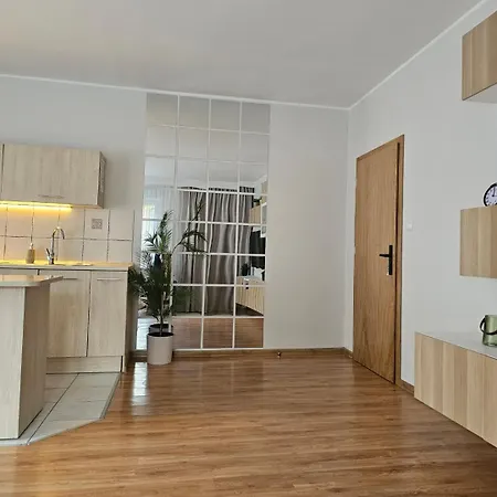 Apartment Rema W Centrum Apartzakop Zakopane